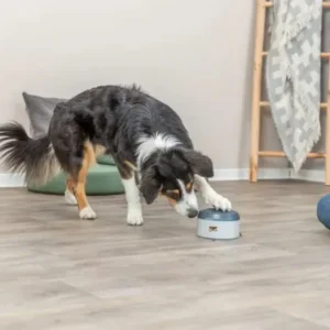 Trixie Dog Activity Buzzer Level 1