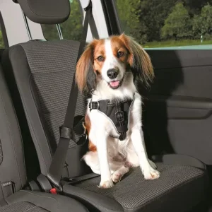 Trixie Dog Protect Sikkerhetsele/Sykkelsele
