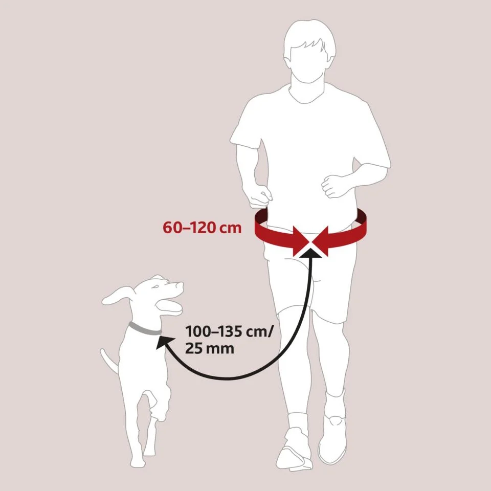 Trixie joggebelte med line – praktisk og trygt til jogging og gåtur - Image 2