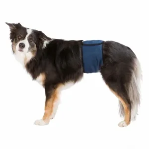 Trixie Magebelte Til Hannhund