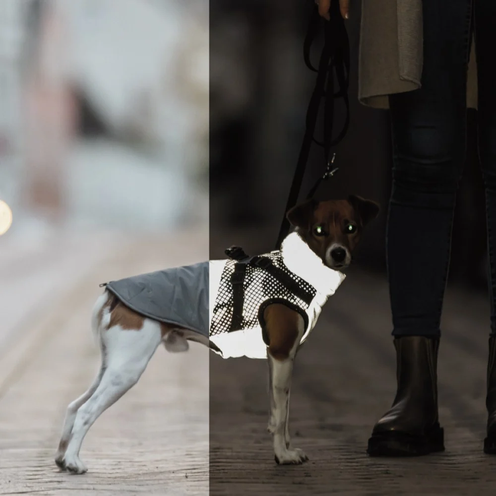 Trixie Pontis Reflect vinterdekken med sele
