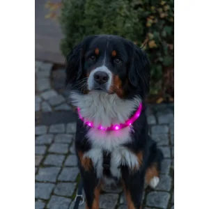 Trixie USB Flash Lysbånd Ekstra Bred Rosa