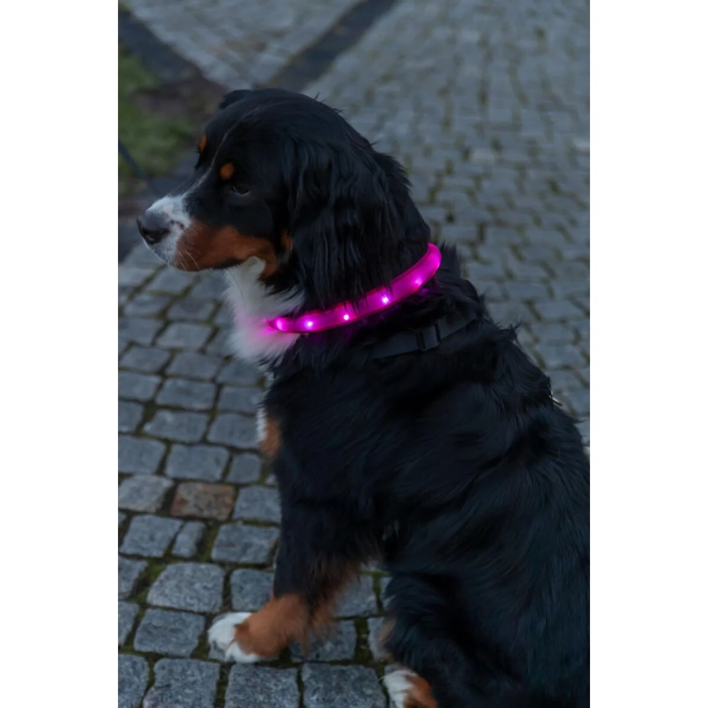 Trixie USB Flash Lysbånd Ekstra Bred Rosa - Image 2