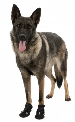 TRIXIE Walker Active Hundesko - Image 2