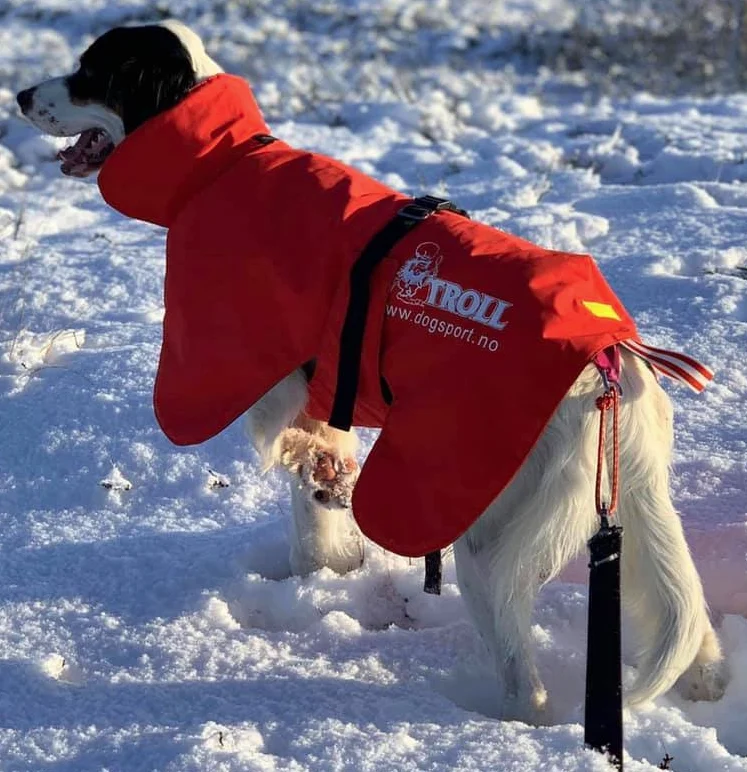 TROLL DogSport Varmedekken Hvile – Rød - Image 2