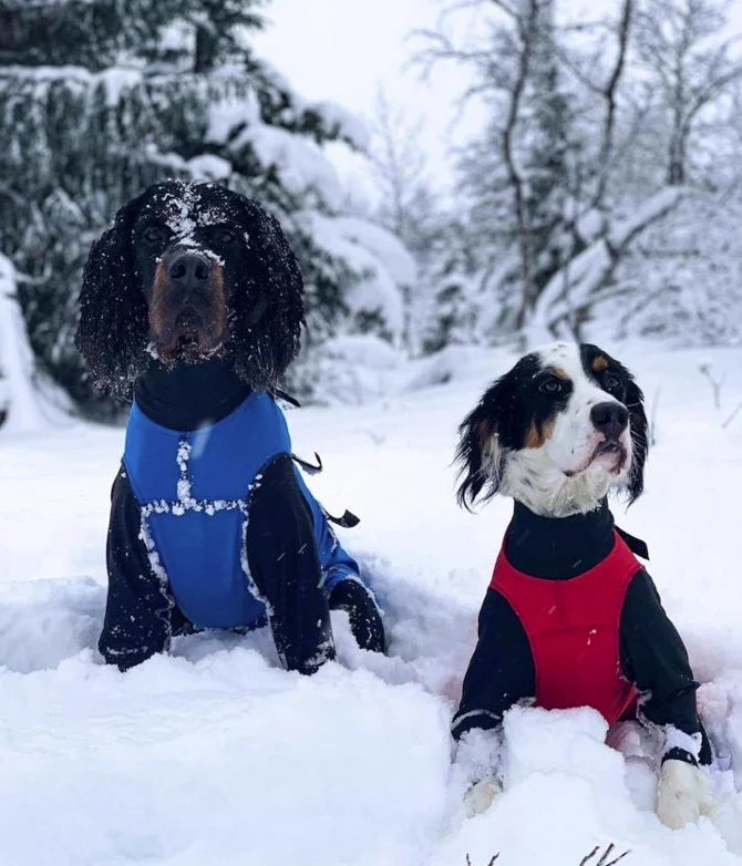 TROLL Hannhund, Heldekkende vinterdekken - Image 2