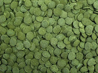 Tropical Algae Wafers - Image 2
