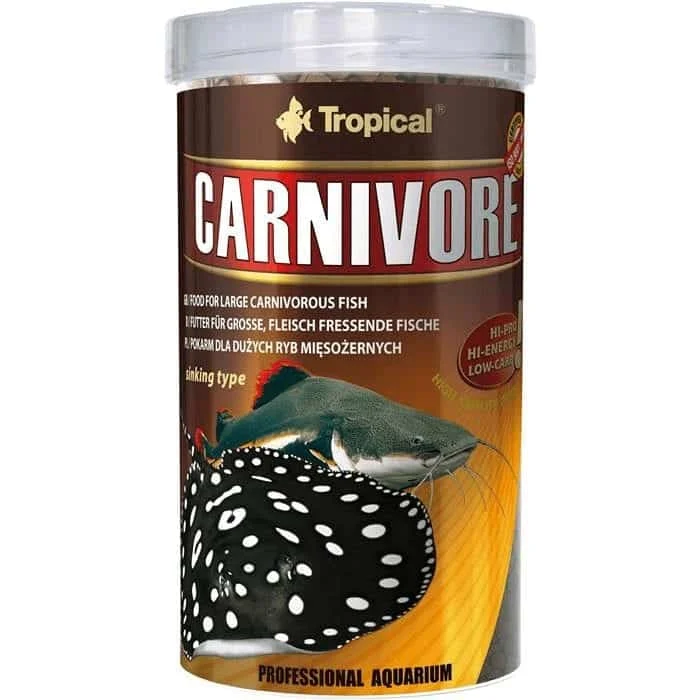 Tropical Carnivore