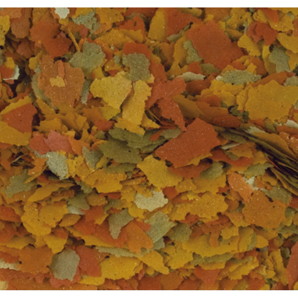 Tropical Goldfish Color Flakes - Image 2