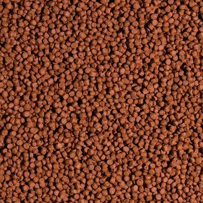 Tropical KOI Silkwarm & Astaxanthin Size S - Image 2