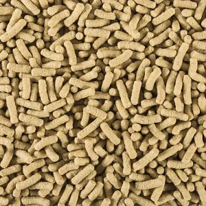 Tropical Pond Sticks Daily BASIC 50L/6kg