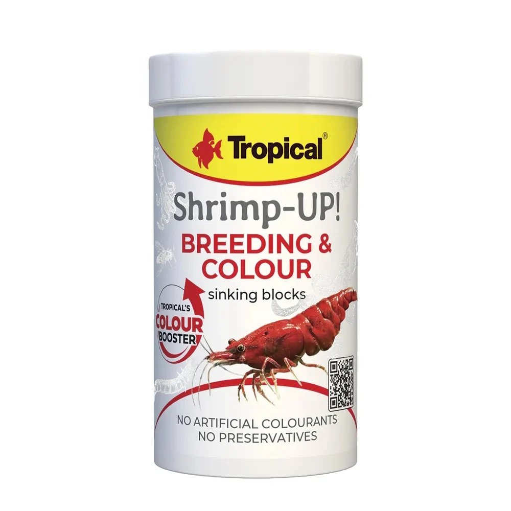 Tropical Shrimp-Up Breeding And Colour