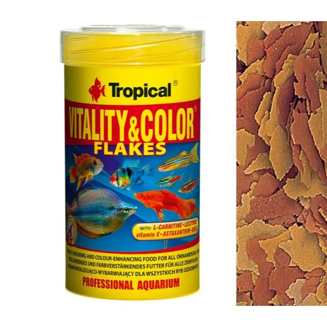 Tropical Vitality & Color - Image 2