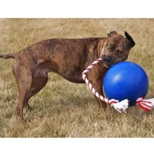 TUGGO 7, Grøn Aktivitetsball Ø18cm