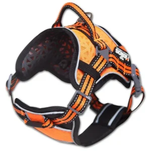Tursele - Str. S - 45-58cm