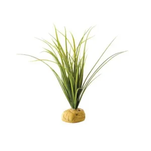 Turtle Grass Exoterra