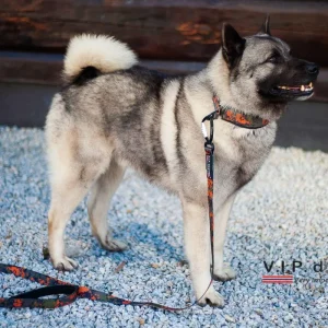 V.I.P. HUNTING Leiebånd 1,7m