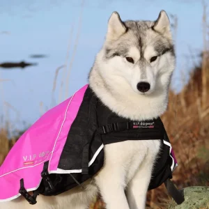 V.I.P. Lokk til Rondane kløv ROSA