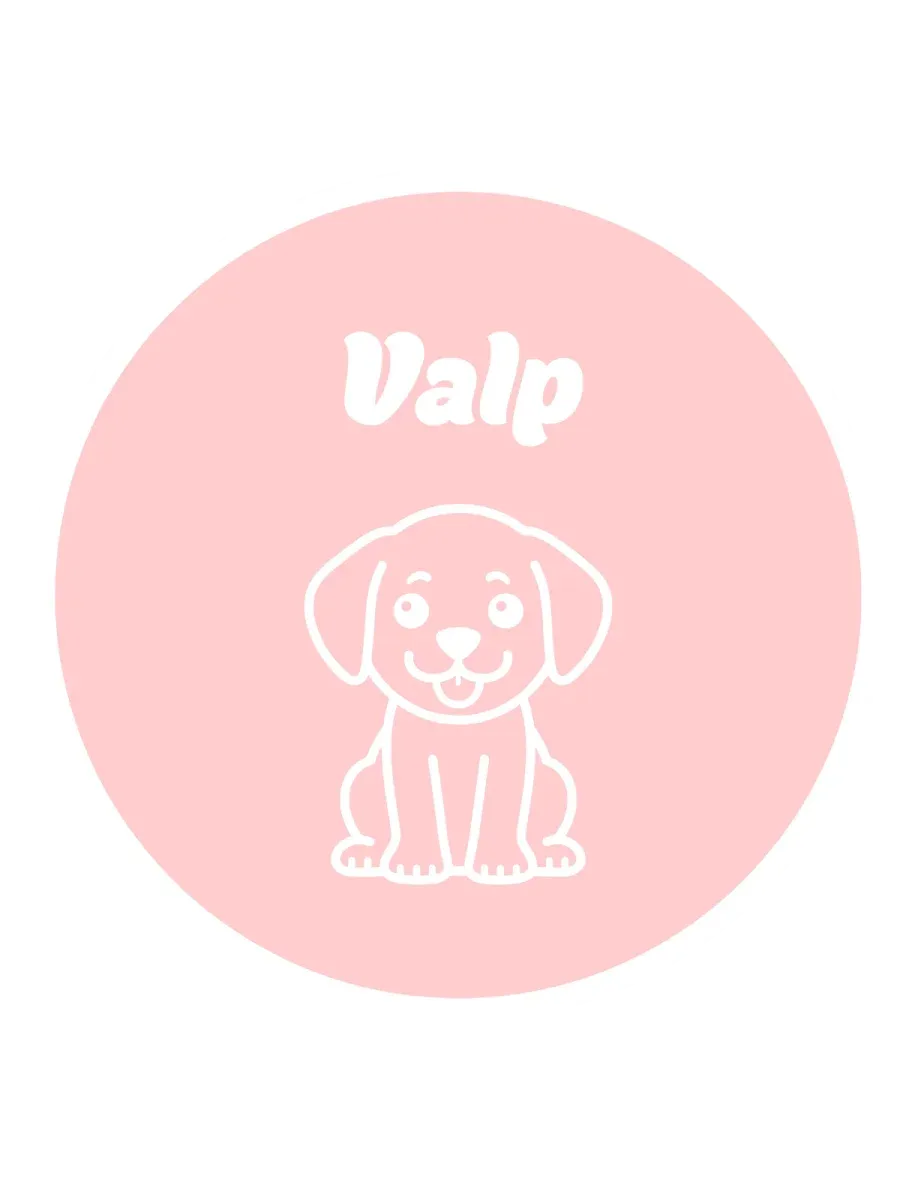 Valp BURGER
