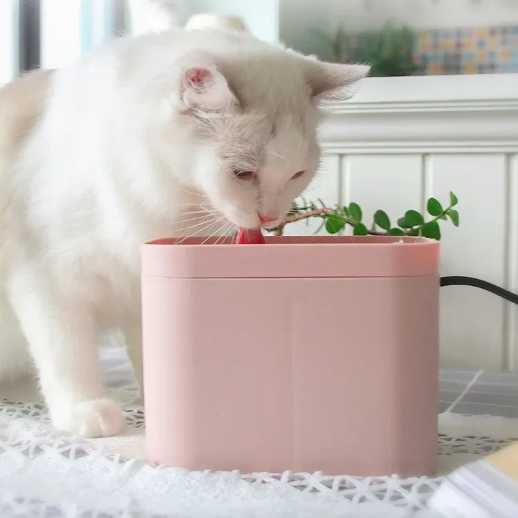 Vannfontene til katt og liten hund 1,5 liter