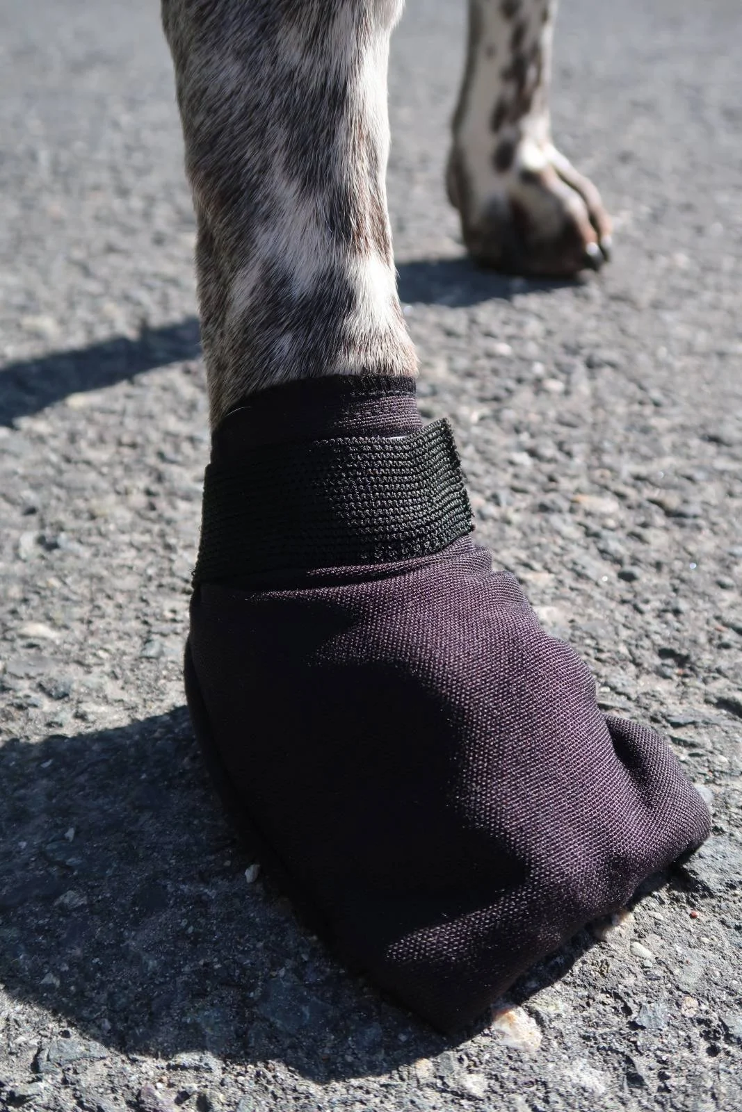 VIP Dogwear Potesokker Comfort Fleece XL 4pk