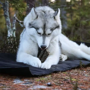 VIP RESTING Blanket