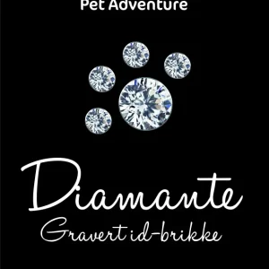 Virtuella Expresskort ID-brikke Swarovski