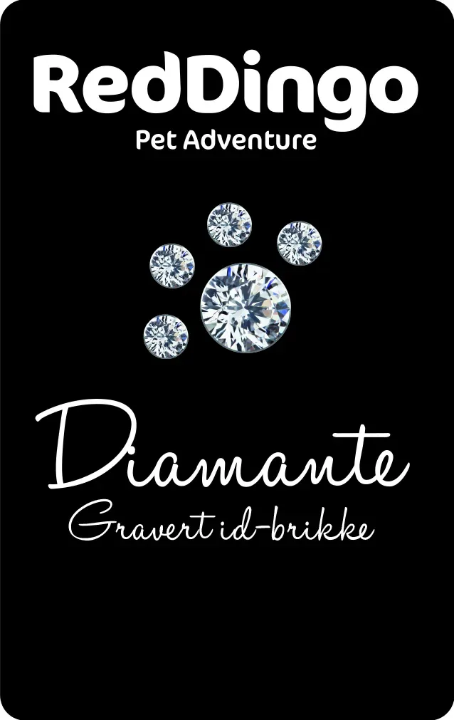 Virtuella Expresskort ID-brikke Swarovski
