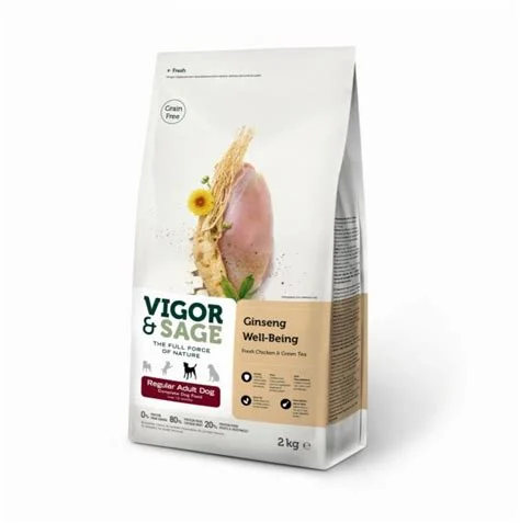 Vs Well-Being Ginseng Regular Adult Dog 12Kg