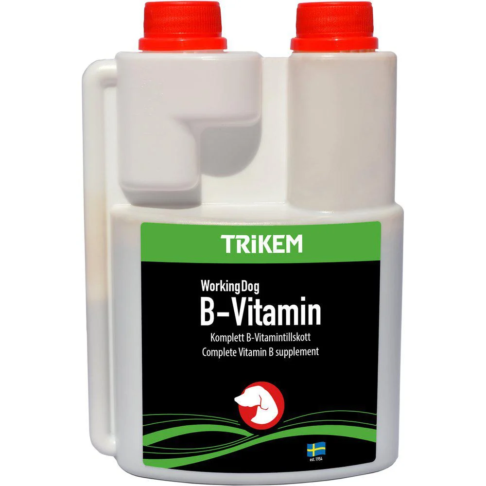 Wd B-Vitamin 500Ml - Image 2