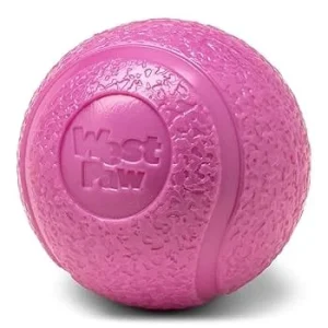 WestPaw Boundr Large Hot Pink