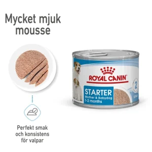 Wet Starter Mousse V氓tf么r for hunder