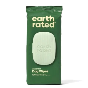Wipes Unscented 100p