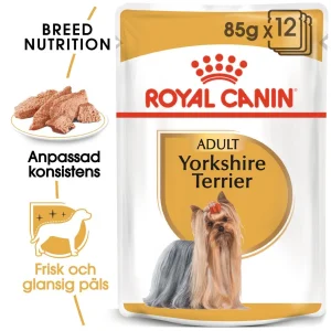 Yorkshire Terrier Adult v氓tf么r for hunder