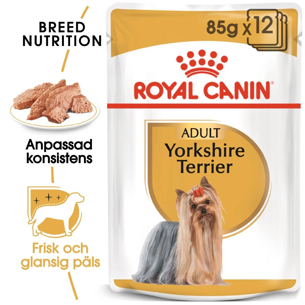Yorkshire Terrier Adult v氓tf么r for hunder