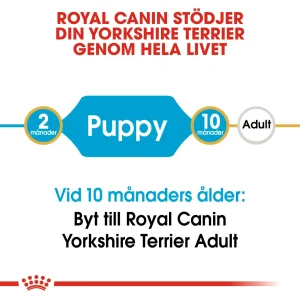 Yorkshire Terrier Puppy T酶rrf么r for hund 1,5kg