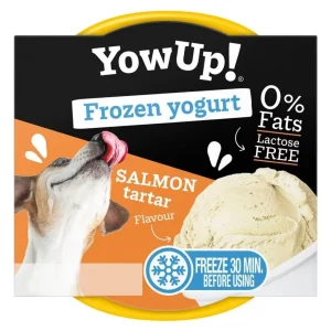 YowUp Ice Cream Yogurt Laksetartar 110gr