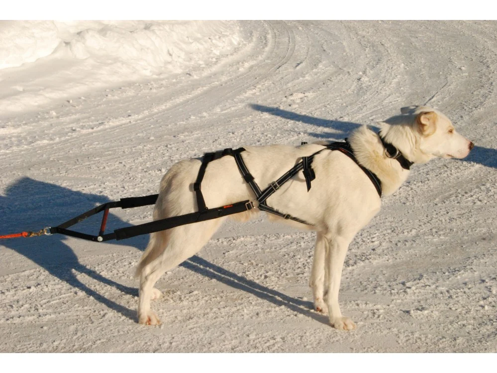 Yukon pinnestykke til kombisele