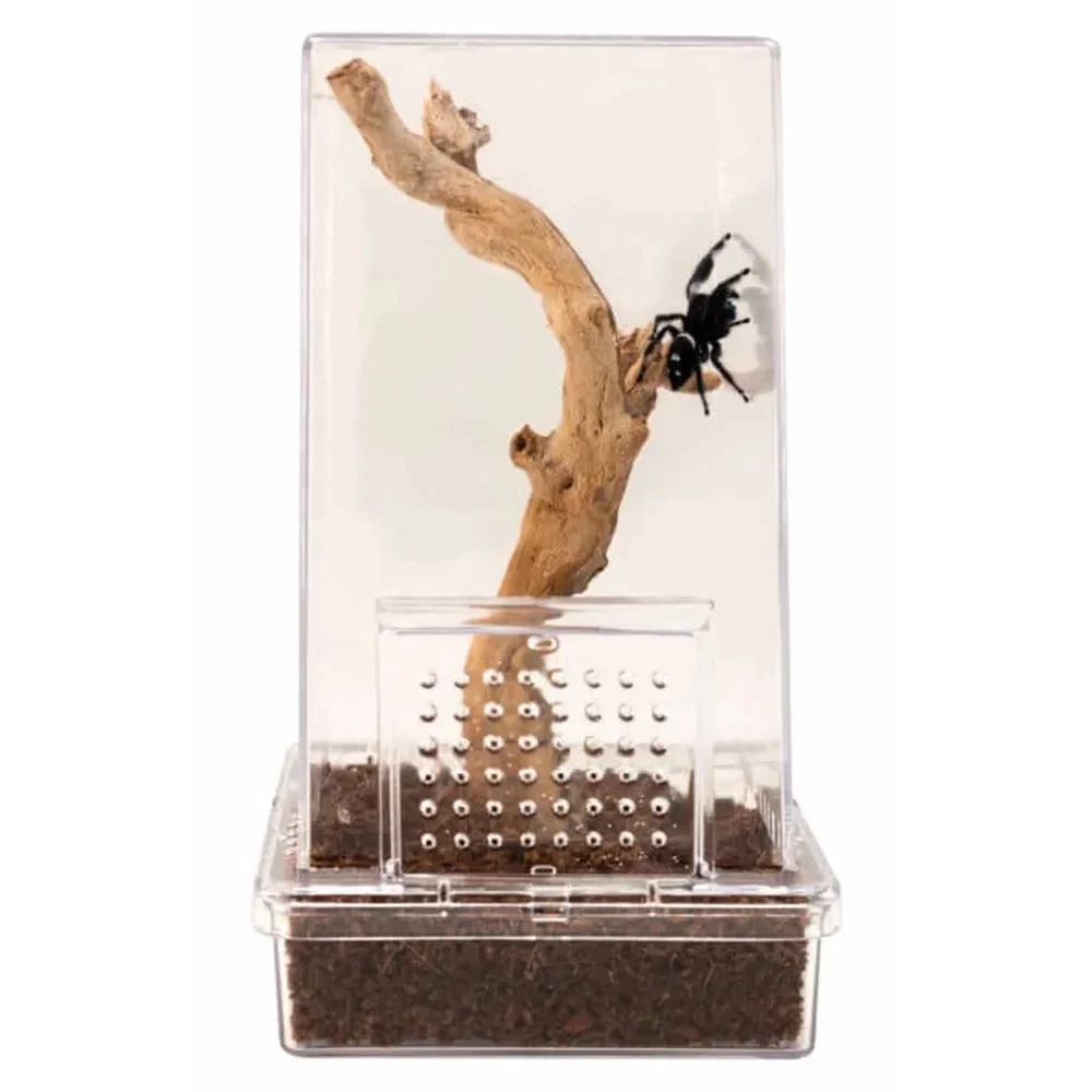 Zoo Med Creatures Jumping Spider Kit - Image 2